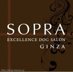 SOPRA GINZA ץ