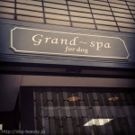 Grand~spa for dog
