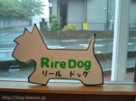 ڥåȥRire dog