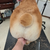 �ޤ�ޤ뤷�ä�