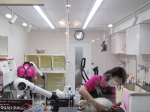 Pet salon CorofQ