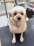 �饰������ӥ��å�