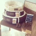 Dog salon Days