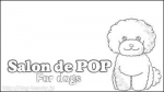 Salon de POP