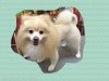 Ϥ饤󥫥å