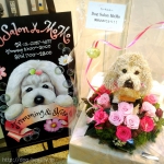 Dog Salon MoMo