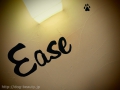 Dogsalon Ease(ɥå󥤡)