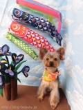 Dogsalon Ease(ɥå󥤡)
