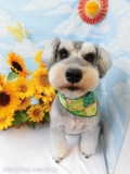 Dogsalon Ease(ɥå󥤡)