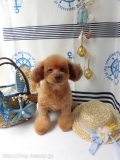 Dogsalon Ease(ɥå󥤡)