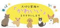 DOG SALON FLUFFYʥեե