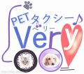 PET    Very  ɤõ...