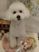 ͸OFFݥ