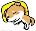 ڥåȥ󥰥롡Ź