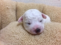 ڥåȥ󥰥롡Ź