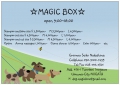 MAGIC BOX