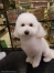 �դ���ޡ��뤯���å�