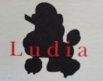 Ludia