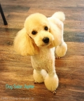 줷䤹ȴİΤޤ(^^