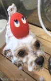 륯ˢѥå