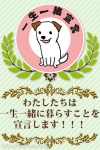 PLAYBOW