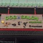 DOGSALONĤम