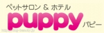 ڥåȥۥƥ롡ѥԡ