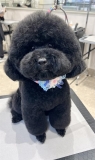 �ޤ�ޤ�ޤ롼���å�
