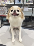 ���ä���饤���󥫥å�