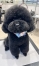 �ޤ�ޤ�ޤ롼���å�
