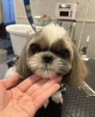 ��ҥ���ϥ����ʥ��å�