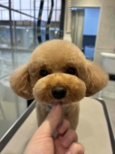 �դ���ƥǥ��٥����å�