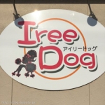 dogsalon Iree Dog