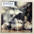 SOPRA GINZA 祤󥿡Ź