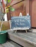 Hair  salon  SAVOIA with  DOG