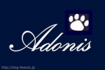Adonis