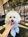 쥫å	