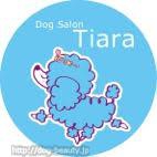 DogSalon Tiara