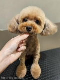 դդΤ쥫å	