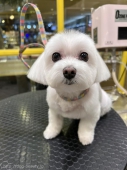 ҤΤޤޤ뤪饫å	