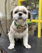 �ޤ�ޤ륫�å�