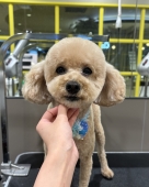 ���å���ƥǥ��٥����å�