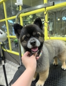 �饤�����󥫥å�