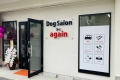 Dog Salon again