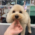 �դ���ƥǥ��٥����å�