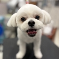 ��󤯤�Υ��å��ꥫ�å�