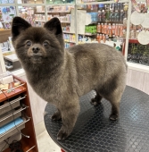 �����륷�����Ǥޤ�ޤ륫�å�