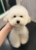 ����ޤ�ݥ��å�