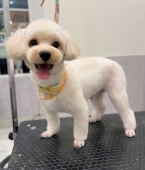 �ޥ�ס������ƥǥ��٥����å�