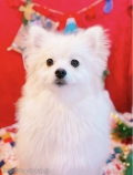 ȥߥ󥰥ƥ-LUNA-